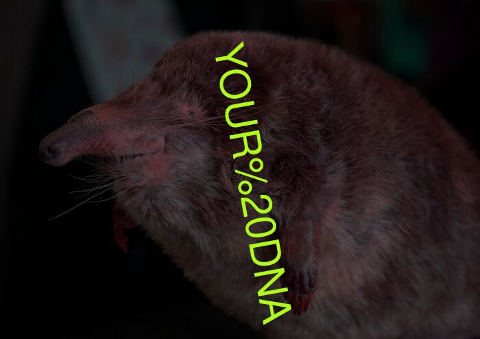 YOUR DNA